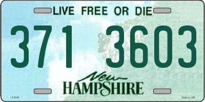 NH license plate 3713603