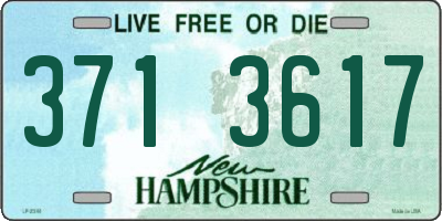 NH license plate 3713617