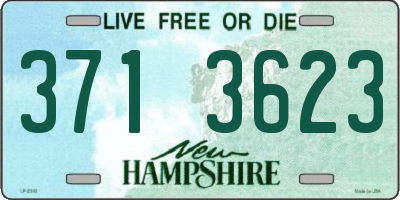 NH license plate 3713623