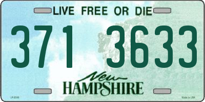 NH license plate 3713633