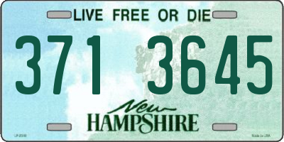 NH license plate 3713645