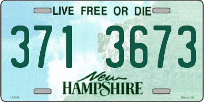 NH license plate 3713673