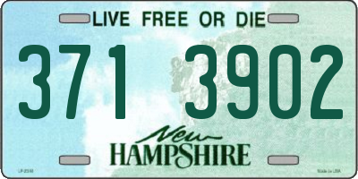 NH license plate 3713902