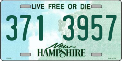 NH license plate 3713957