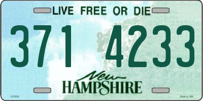 NH license plate 3714233