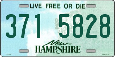 NH license plate 3715828