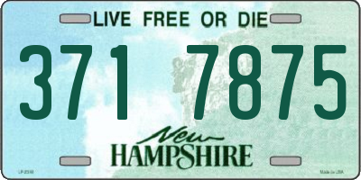 NH license plate 3717875