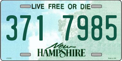 NH license plate 3717985