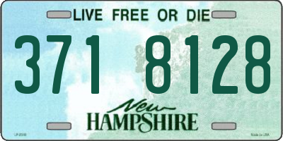 NH license plate 3718128