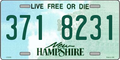 NH license plate 3718231