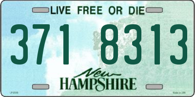 NH license plate 3718313