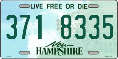 NH license plate 3718335