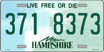 NH license plate 3718373