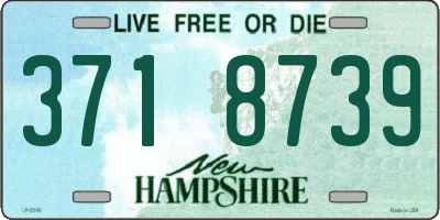 NH license plate 3718739