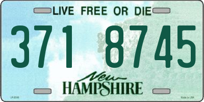 NH license plate 3718745