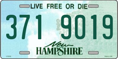 NH license plate 3719019