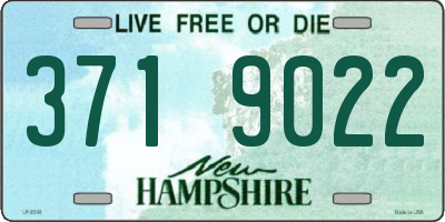 NH license plate 3719022