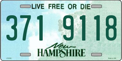NH license plate 3719118
