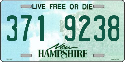 NH license plate 3719238