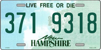 NH license plate 3719318