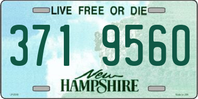 NH license plate 3719560