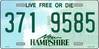 NH license plate 3719585