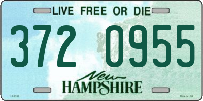 NH license plate 3720955