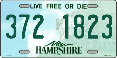 NH license plate 3721823