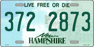 NH license plate 3722873