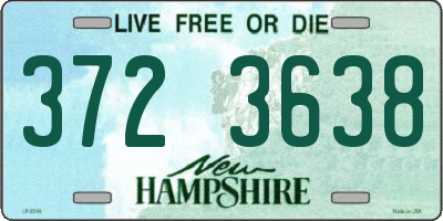 NH license plate 3723638