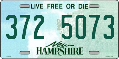 NH license plate 3725073