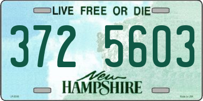 NH license plate 3725603