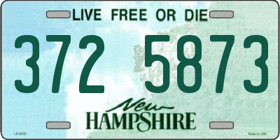 NH license plate 3725873