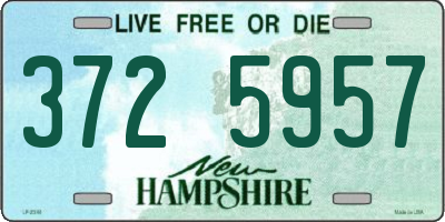 NH license plate 3725957