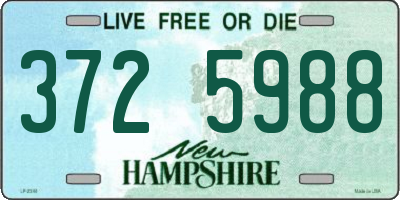 NH license plate 3725988