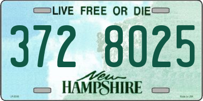 NH license plate 3728025