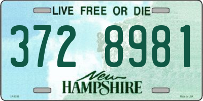 NH license plate 3728981
