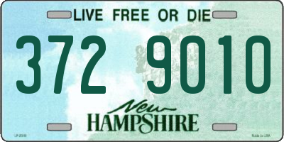 NH license plate 3729010