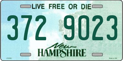 NH license plate 3729023