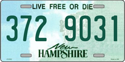 NH license plate 3729031