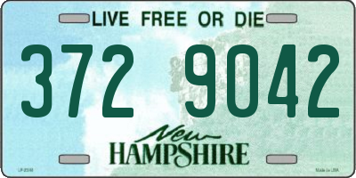 NH license plate 3729042