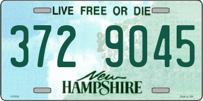 NH license plate 3729045