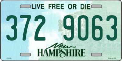 NH license plate 3729063