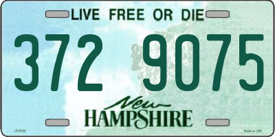 NH license plate 3729075