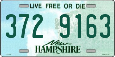 NH license plate 3729163