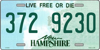 NH license plate 3729230