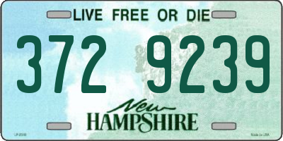 NH license plate 3729239