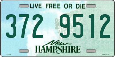 NH license plate 3729512