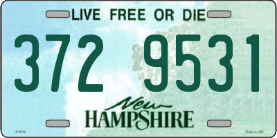 NH license plate 3729531