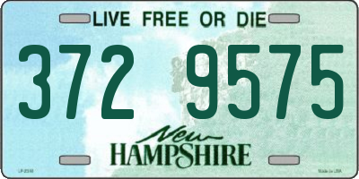 NH license plate 3729575